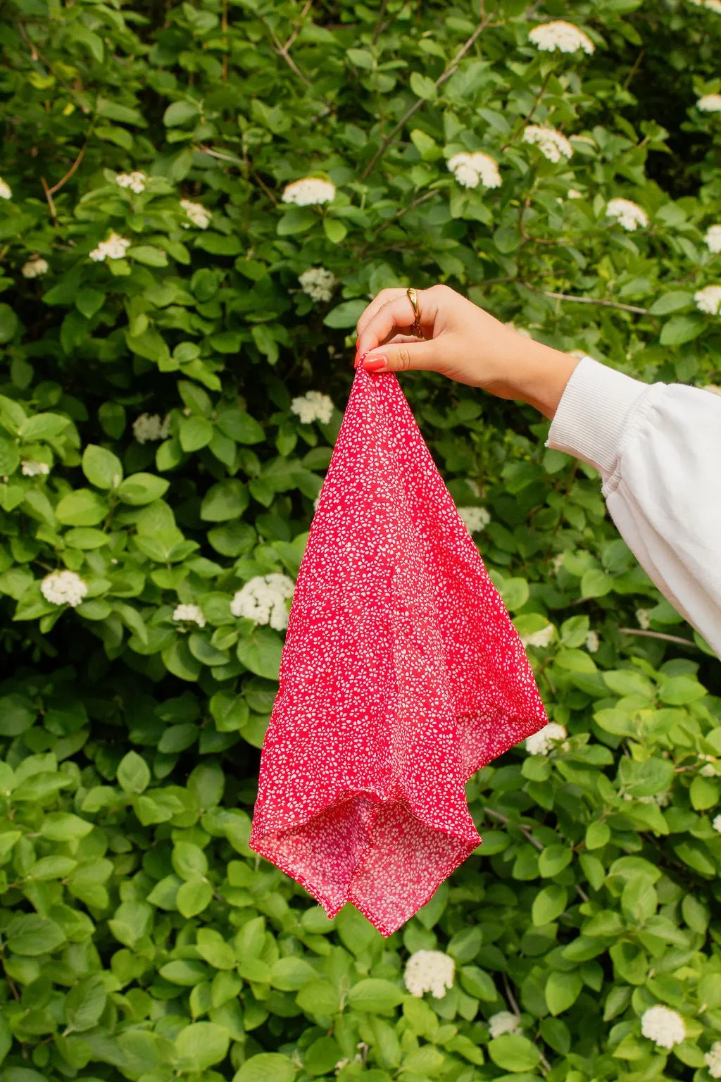 Cherry Pop Bandana