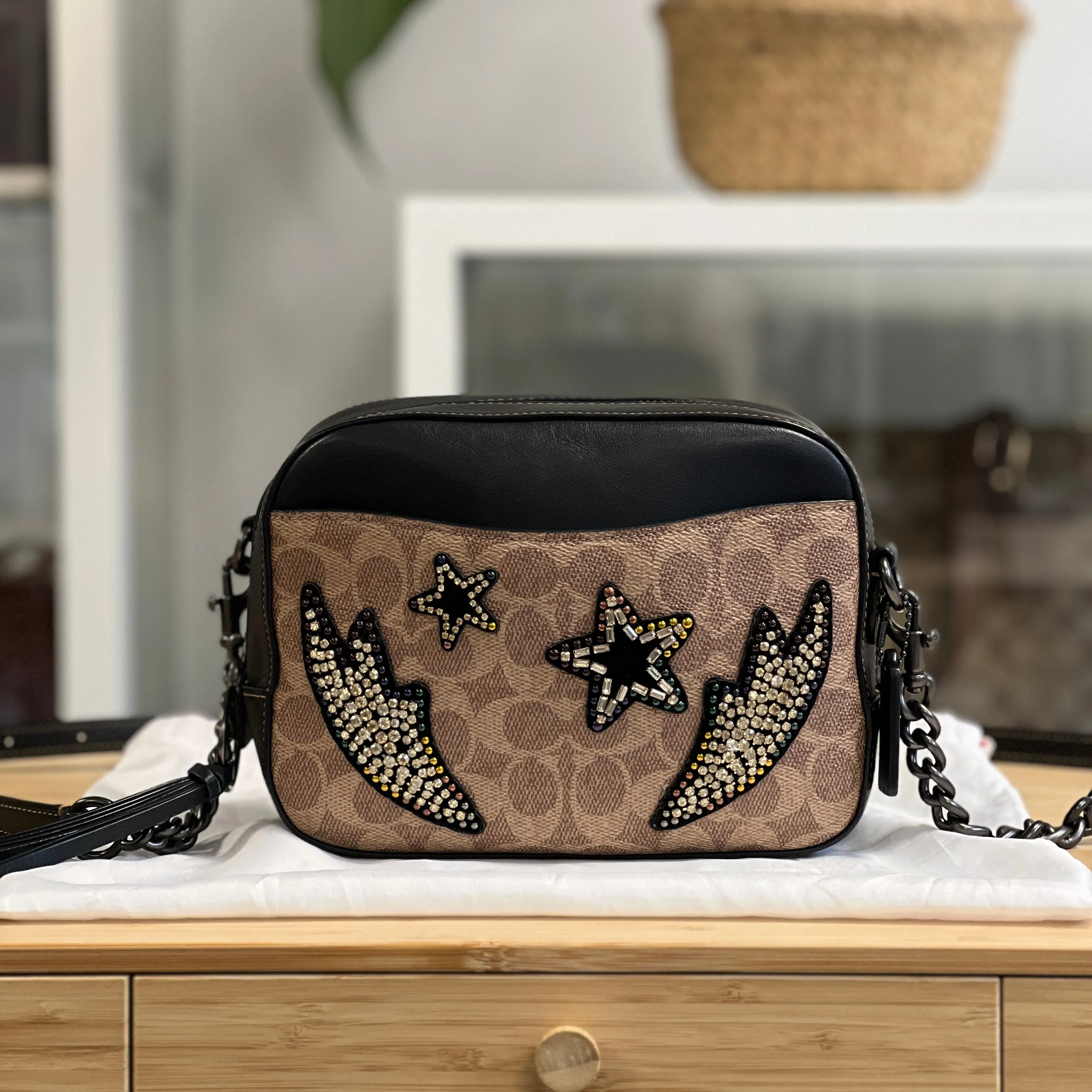 Coach Embellished Camera Bag