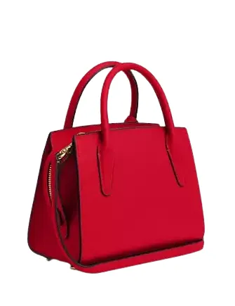 Coach Small Andrea Carryall Bag