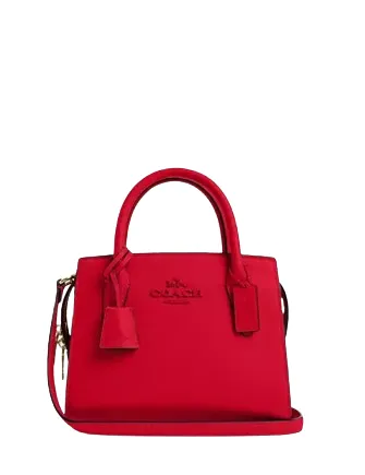 Coach Small Andrea Carryall Bag