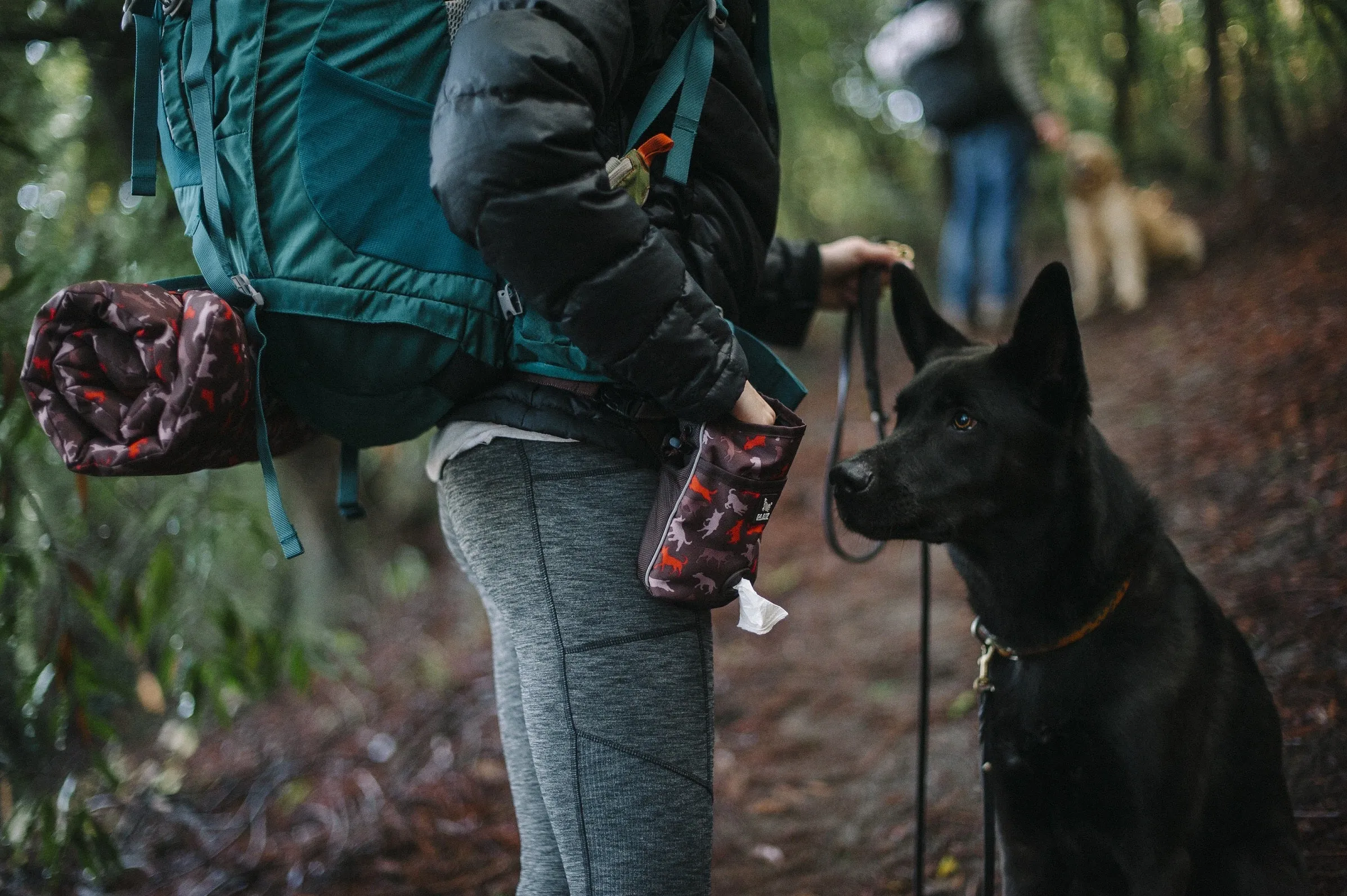 Deluxe Training Pouch