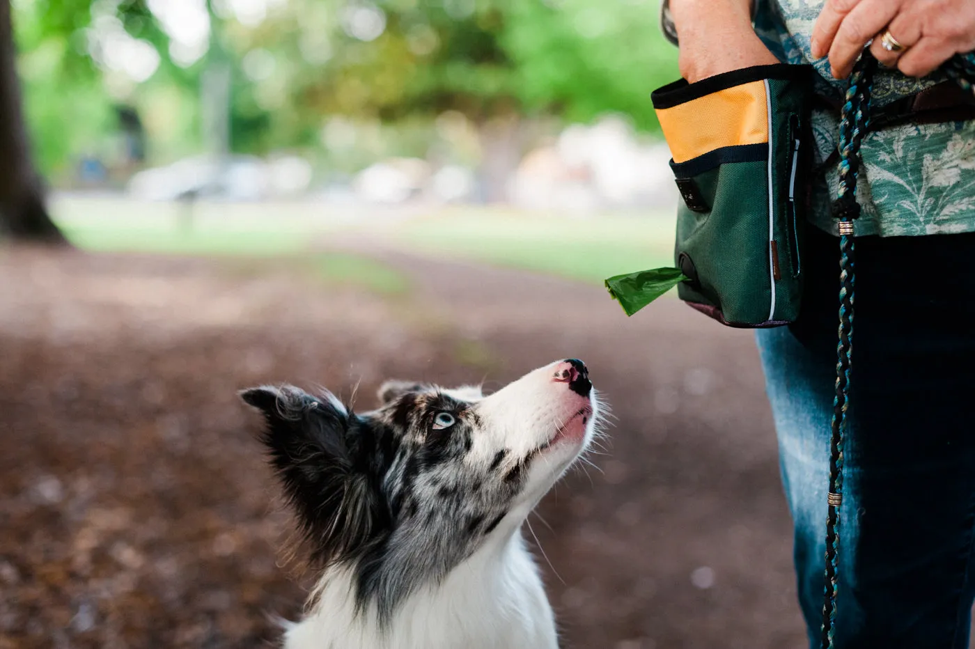 Deluxe Training Pouch