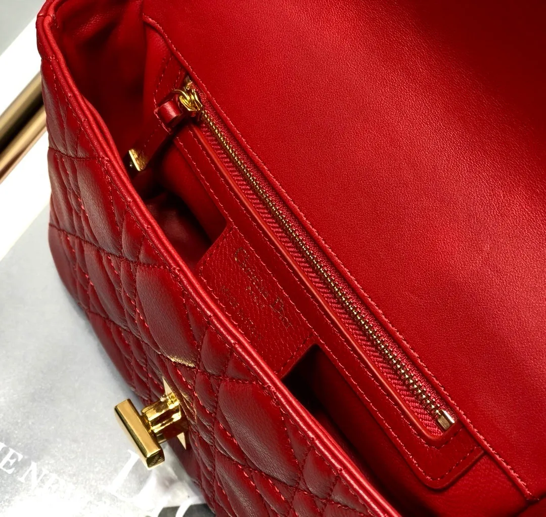 DI Small Caro Bag Red For Women, Women’s Handbags, Shoulder Bags, Crossbody Bags 20cm/8in CD